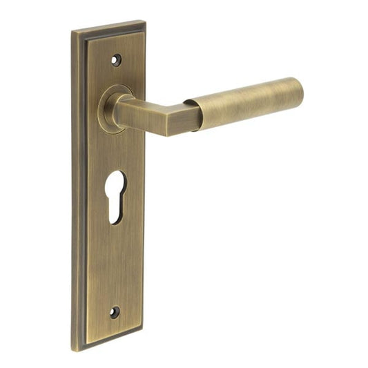 Burlington Westminster Door Handle Euro Backplate by Burlington By Frelan
