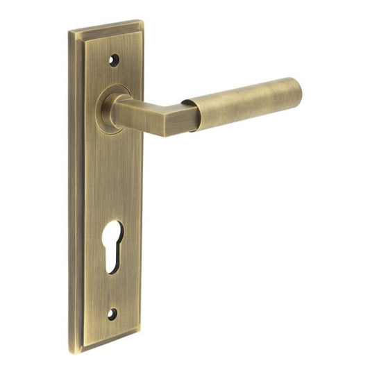 Burlington Westminster Door Handles Din Euro Backplate by Burlington By Frelan
