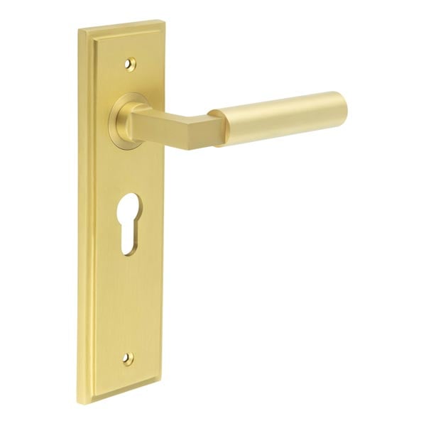 Burlington Westminster Door Handle Euro Backplate by Burlington By Frelan