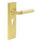 Burlington Westminster Door Handle Euro Backplate by Burlington By Frelan