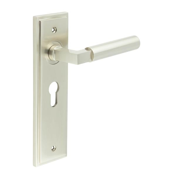 Burlington Westminster Door Handle Euro Backplate by Burlington By Frelan