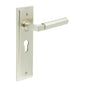 Burlington Westminster Door Handle Euro Backplate by Burlington By Frelan