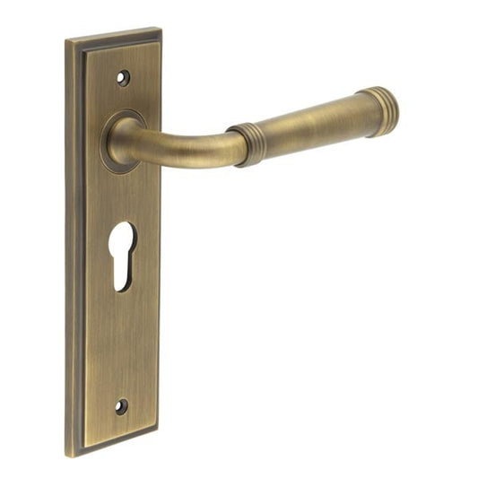 Burlington Highgate Door Handles Euro Backplate by Burlington By Frelan