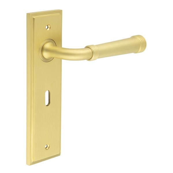 Burlington Highgate Door Handle Lock Backplate by Burlington By Frelan