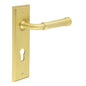 Burlington Highgate Door Handle Din Euro Backplate by Burlington By Frelan