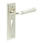 Burlington Highgate Door Handle Euro Backplate by Burlington By Frelan