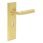 Burlington Piccadilly Door Handles Lock Backplate by Burlington By Frelan
