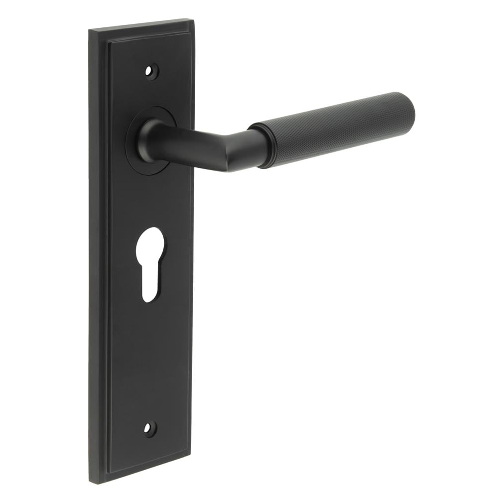 Burlington Piccadilly Door Handle Euro Backplate by Burlington By Frelan