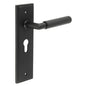 Burlington Piccadilly Door Handle Euro Backplate by Burlington By Frelan