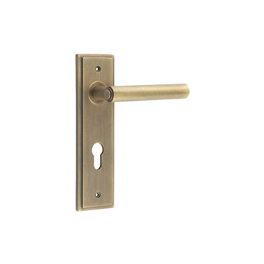 Burlington Richmond Door Handles Din Euro Backplate by Burlington By Frelan