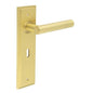 Burlington Richmond Door Handle Lock Backplate by Burlington By Frelan