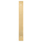 Alexander & Wilks Rectangular Cabinet Pull Backplate by Alexander & Wilks