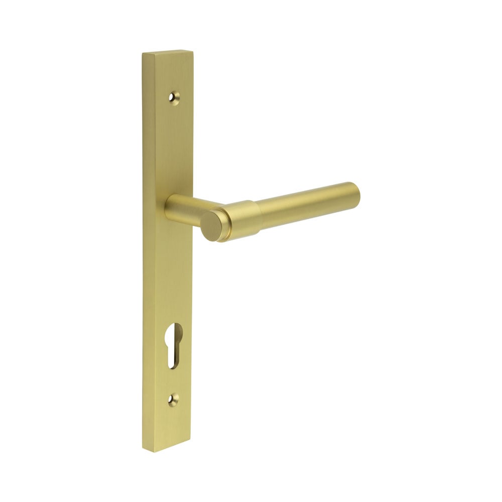 CRES-103 Multi Point Backplate Door Handle by Cres By Frelan