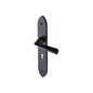 Black Iron Grafton Door Handle on Plate by M Marcus - Heritage Brass