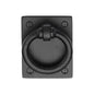 Matt Black Iron Rustic Ring Drop Pull On Plate by M Marcus - Heritage Brass