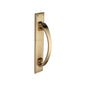 Door Pull Handle on Back Plate by M Marcus - Heritage Brass