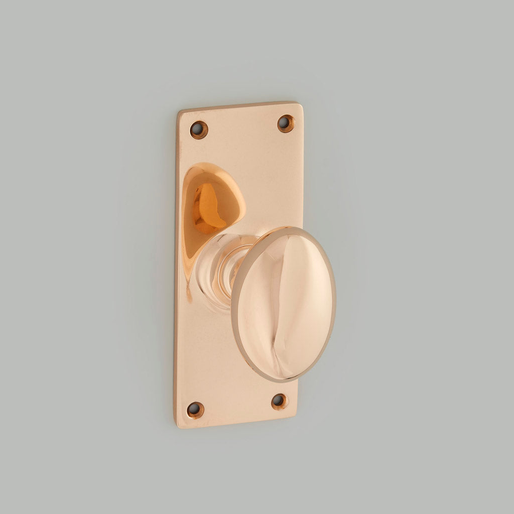 Oval Door Knob On School Board Backplate