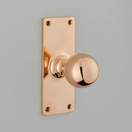 Ball Door Knob On School Board Backplate