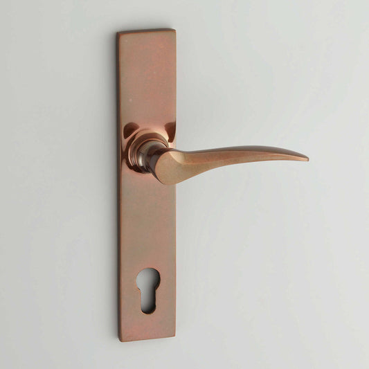 Codsall Multipoint Door Handle on Classic Backplate